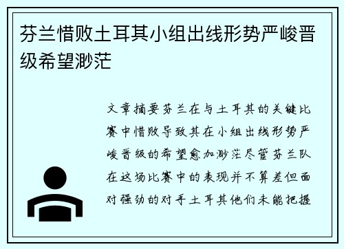 芬兰惜败土耳其小组出线形势严峻晋级希望渺茫